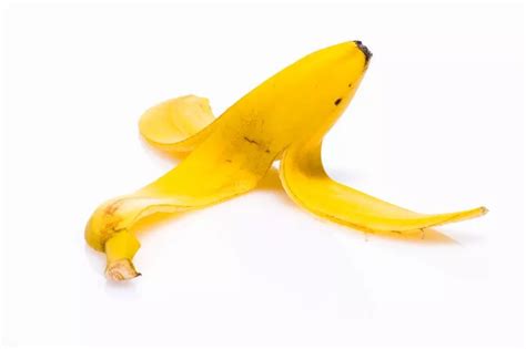 masturbating with banana peel|Banana Peel Male Masturbation Porn Videos .